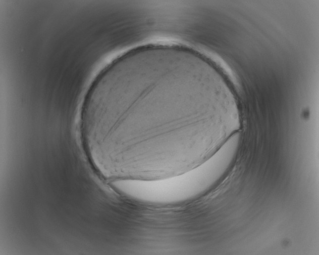 X0000116591327201001211318