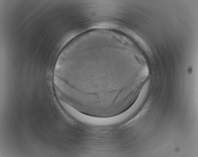 X0000116591329201001211318