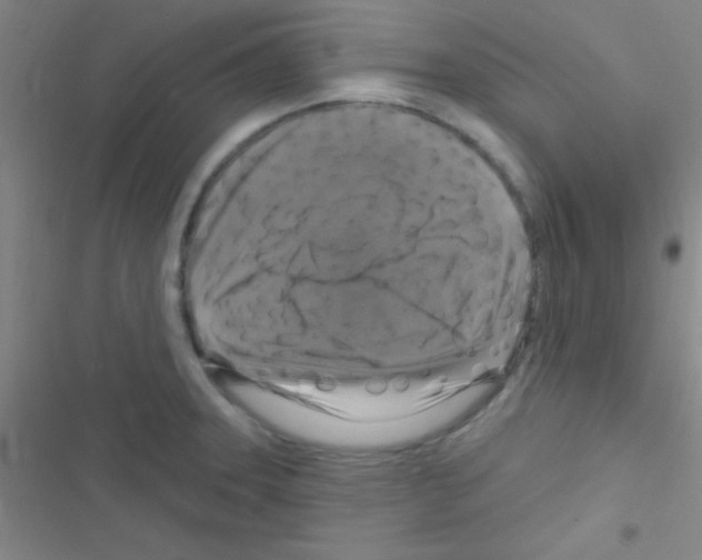 X0000116591331201001211318