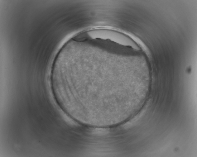 X0000116591333201001211318