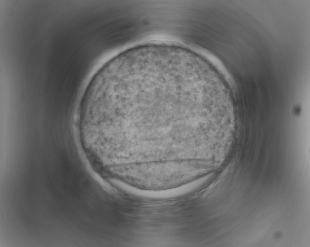 X0000116591335201001211318