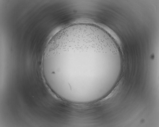 X0000116591337201001211318