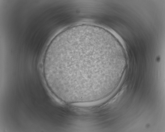 X0000116591341201001211318