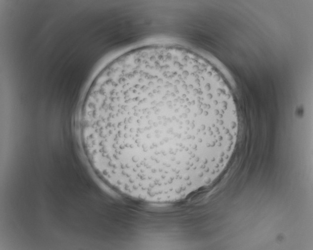 X0000116591343201001211318