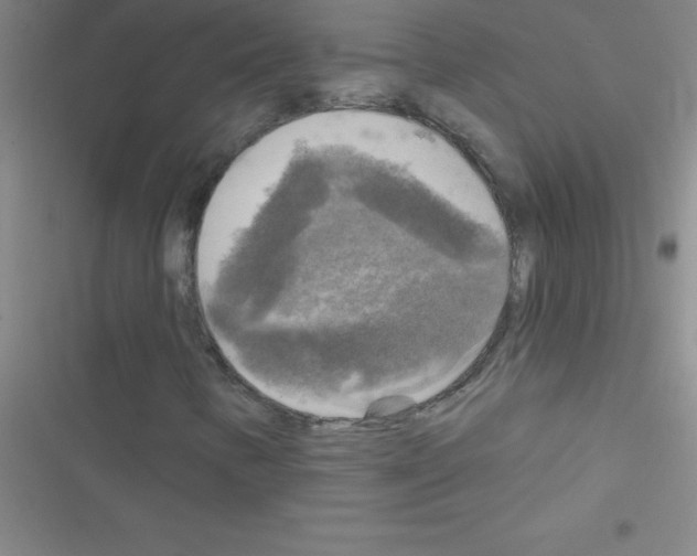 X0000116591346201001211317