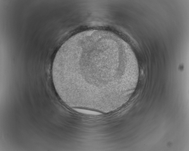 X0000116591348201001211317