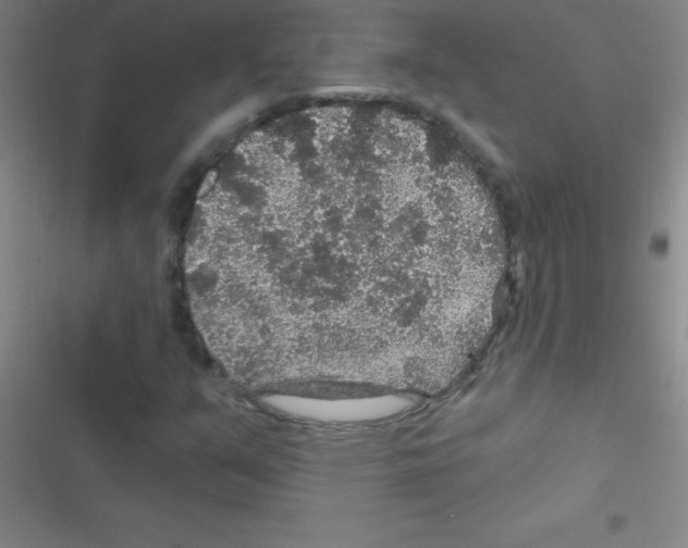 X0000116591351201001211317