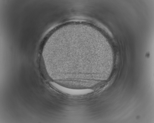 X0000116591352201001211317