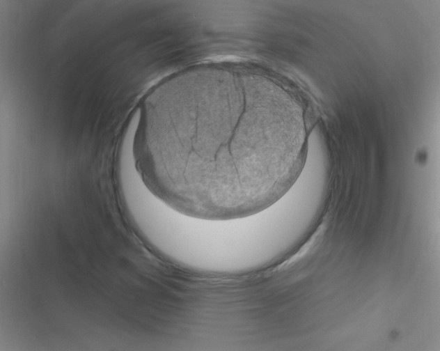 X0000116591353201001211317