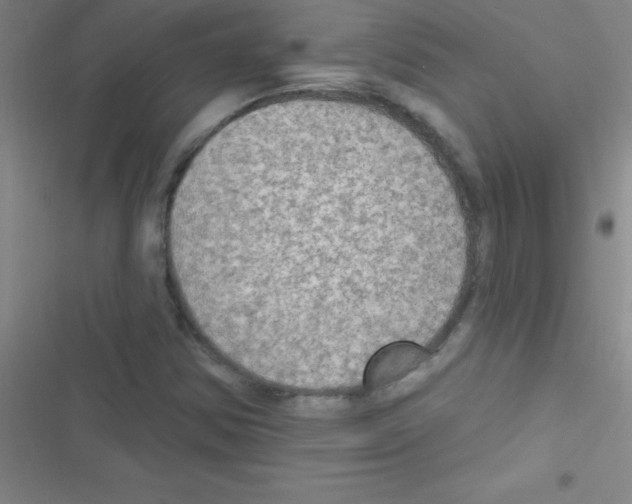 X0000116591354201001211317