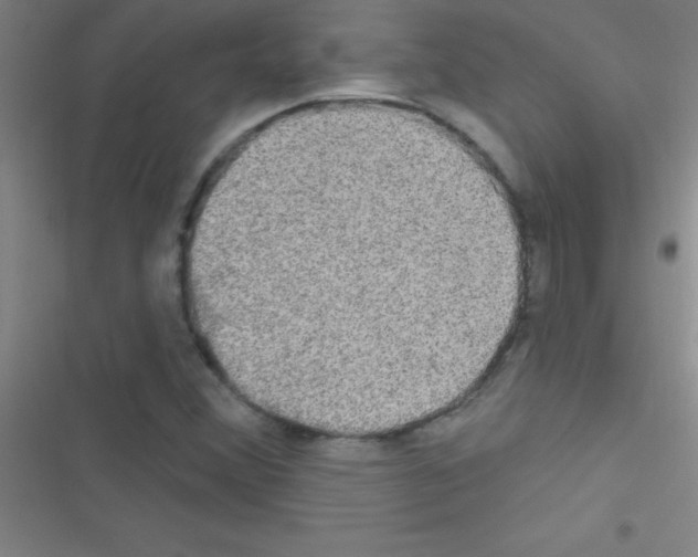 X0000116591356201001211317