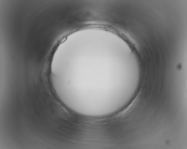 X0000116591357201001211317