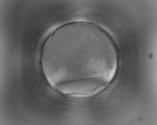 X0000116591359201001211317