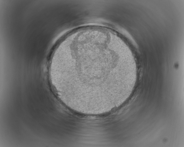 X0000116591360201001211317