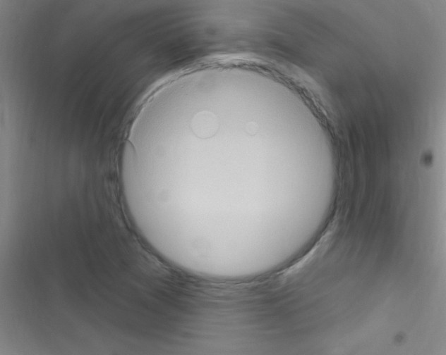 X0000116591361201001211317