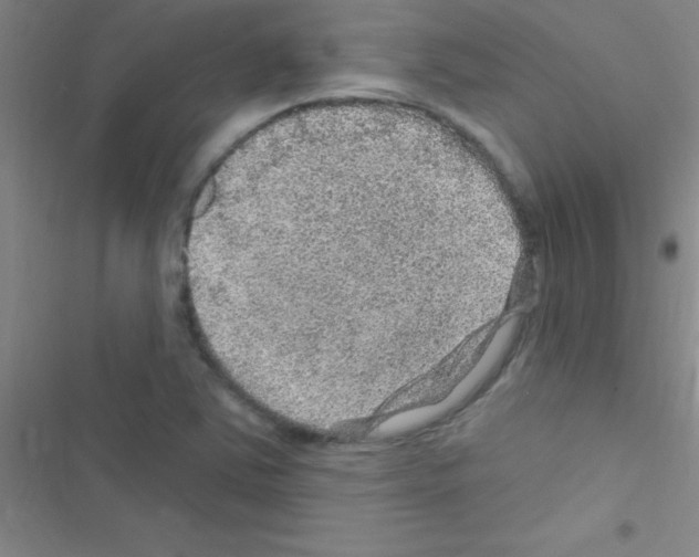 X0000116591363201001211317