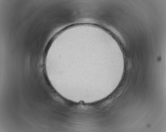 X0000116591364201001211317