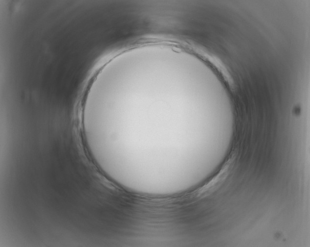 X0000116591365201001211317