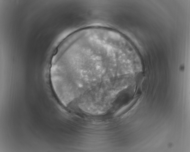 X0000116591367201001211317