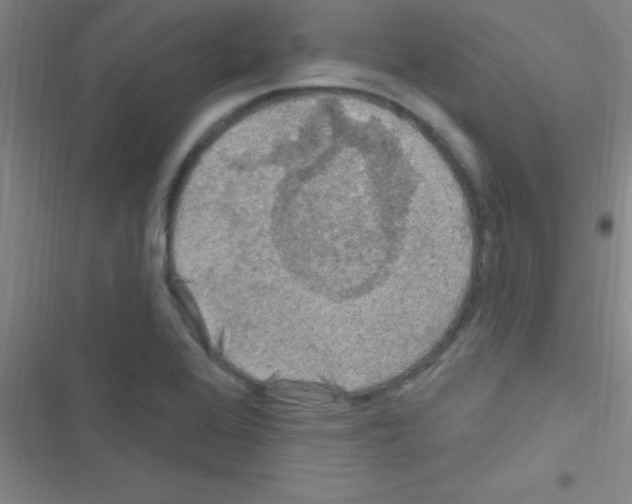 X0000116591368201001211317