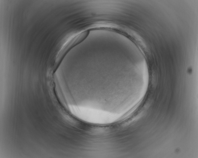 X0000116591369201001211317