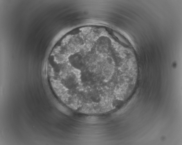 X0000116591371201001211317