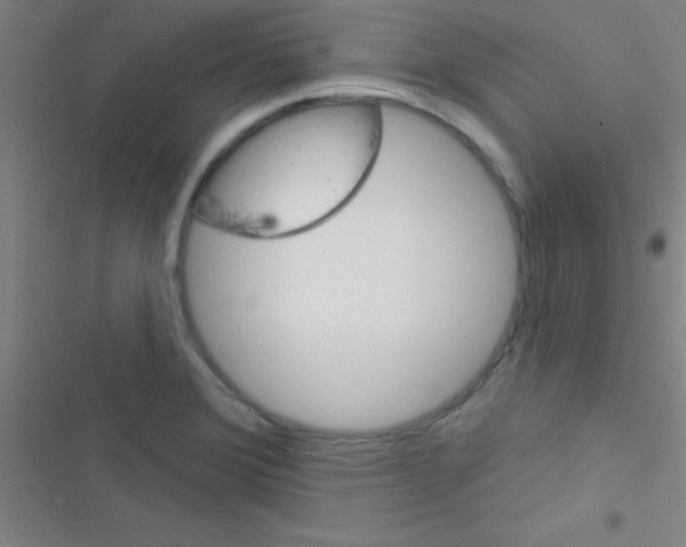 X0000116591372201001211317