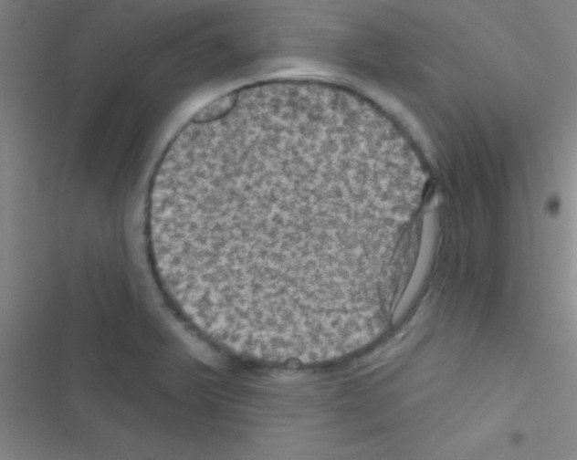 X0000116591375201001211317