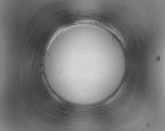 X0000116591377201001211317