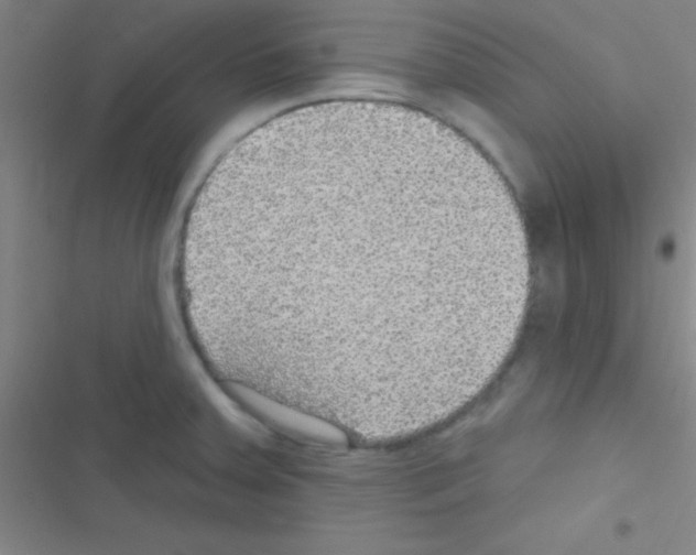 X0000116591379201001211317