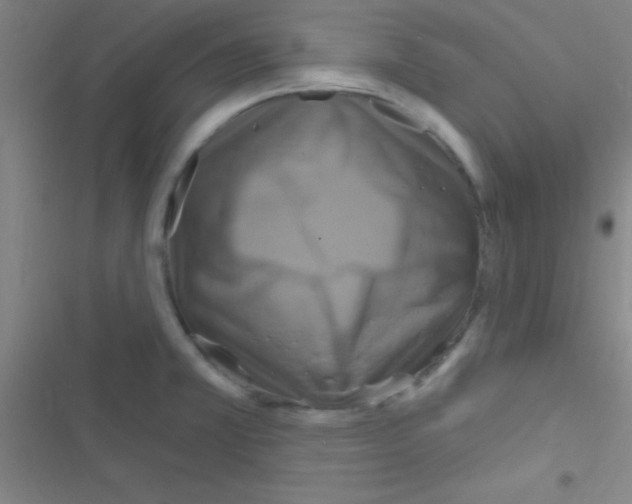 X0000116591381201001211317