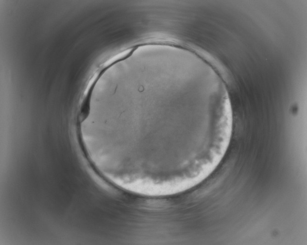 X0000116591383201001211317