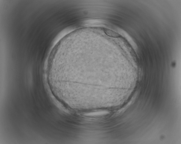 X0000116591386201001211317