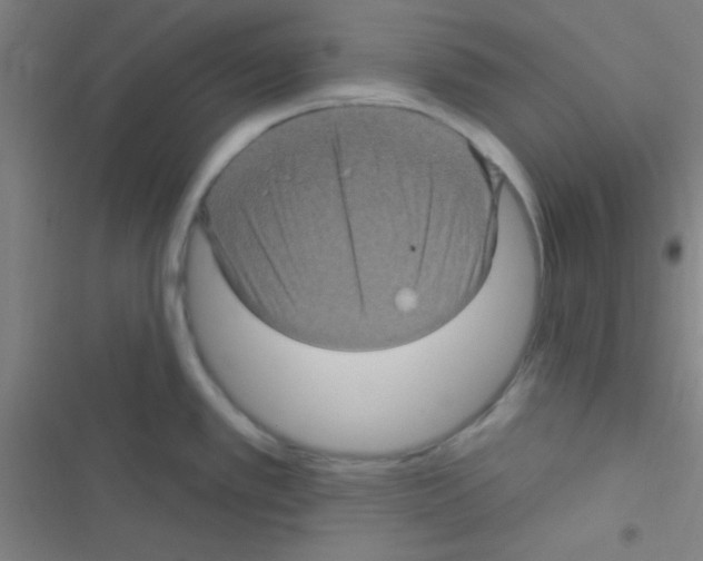 X0000116591389201001211317