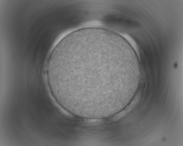 X0000116591390201001211317