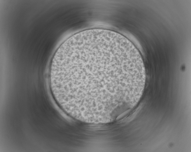 X0000116591391201001211317