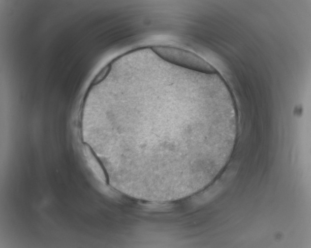 X0000116591392201001211317