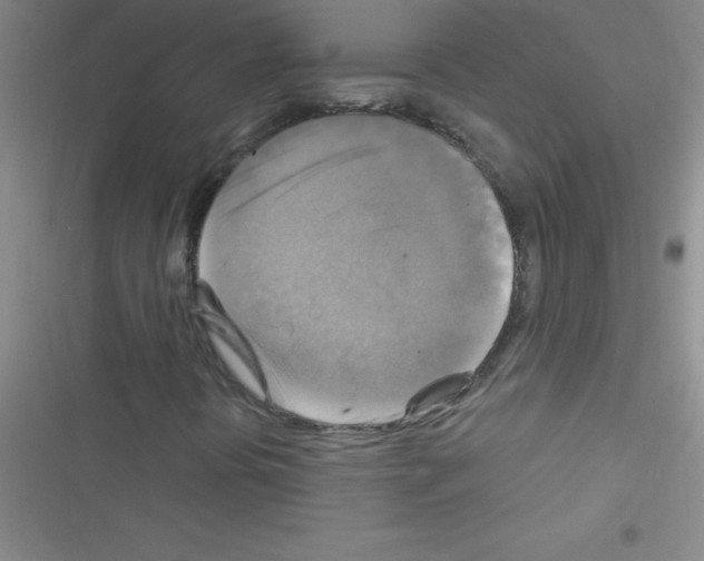 X0000116591394201001211316