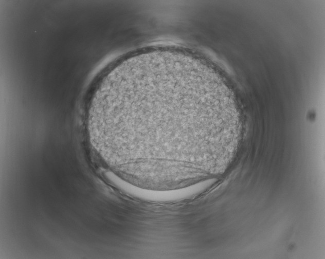 X0000116591400201001211316