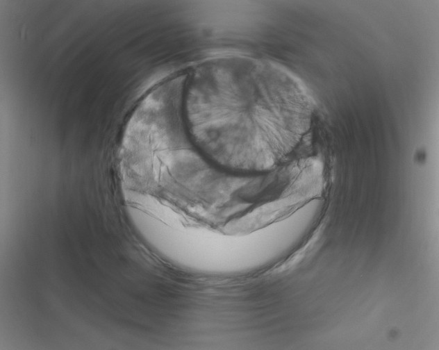 X0000116591401201001211316