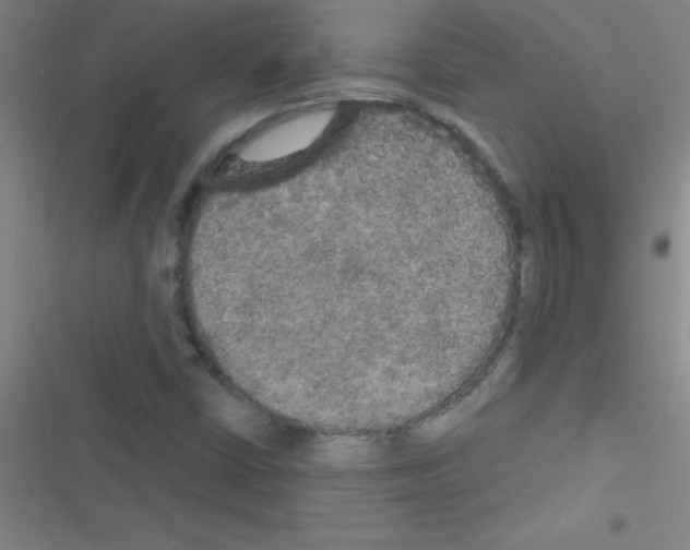 X0000116591402201001211316