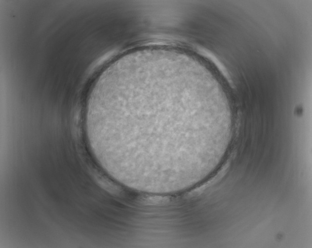 X0000116591403201001211316