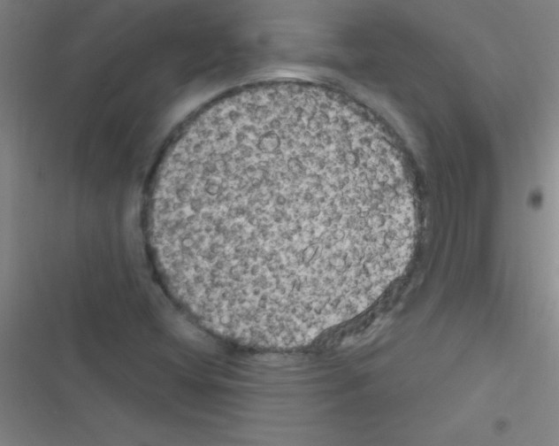 X0000116591404201001211316