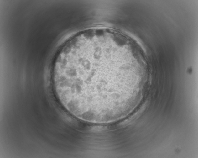 X0000116591407201001211316