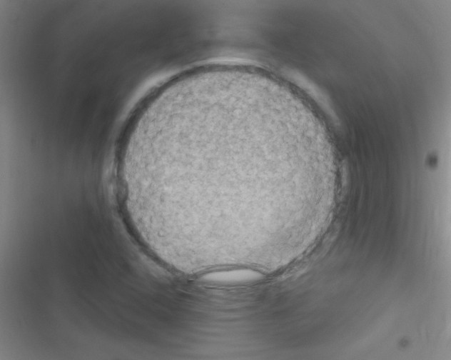 X0000116591408201001211316