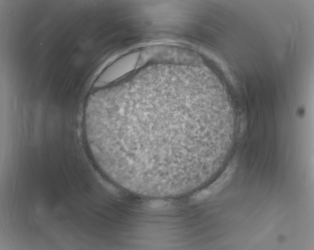 X0000116591409201001211316