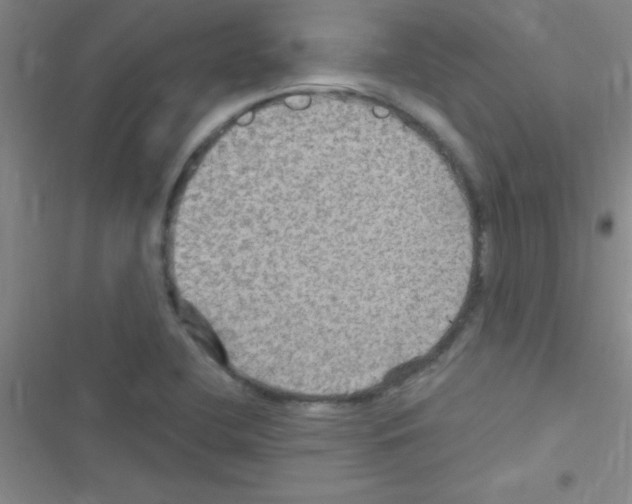 X0000116591412201001211316