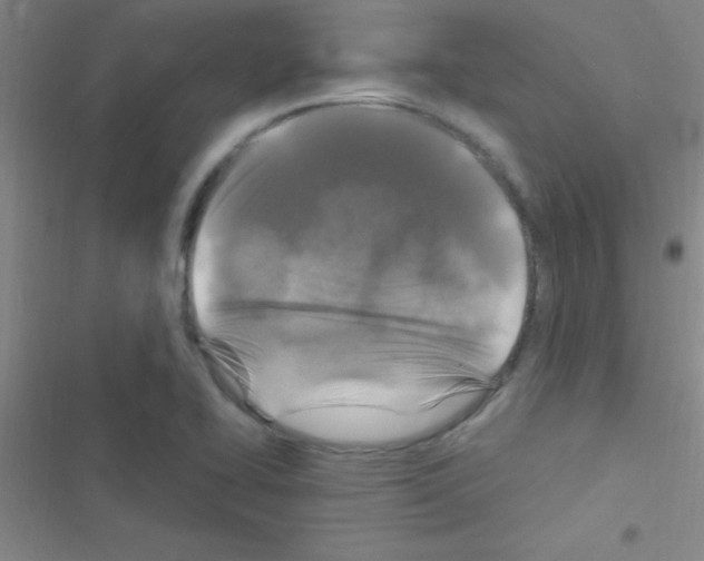 X0000116591414201001211316