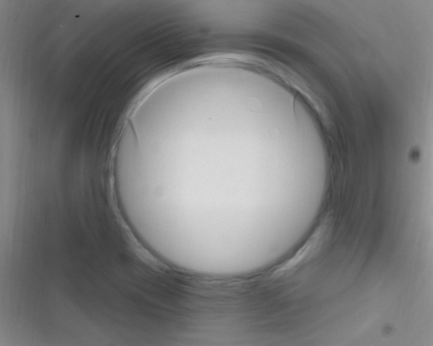 X0000116591417201001211316