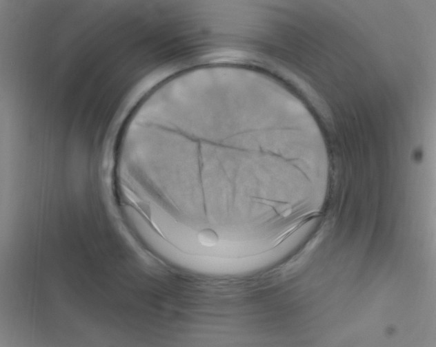 X0000116591418201001211316